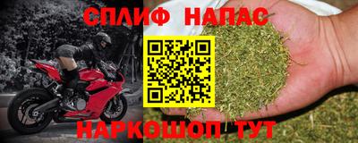 ECSTASY Аргун